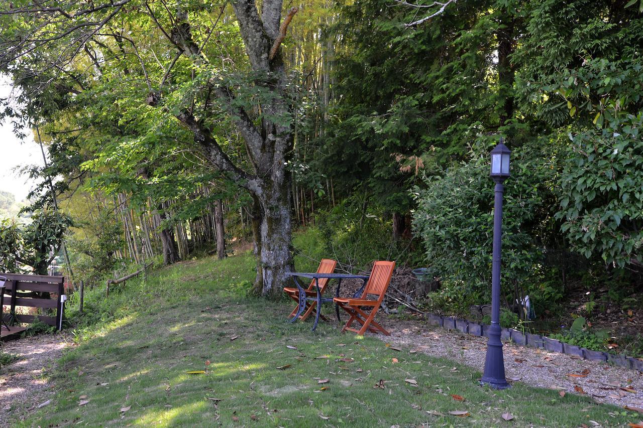 Kotorian Villa Asuka Kamer foto